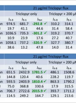 An inter-species comparison of the triclopyr in vitro and in vivo toxicokinetic properties, for risk assessment purpose