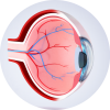 Retina icon