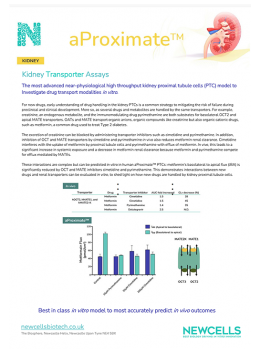 A sample page of the kidney ebook