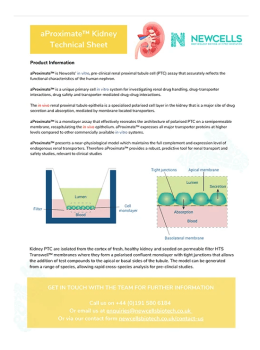 aProximate Kidney Technical Sheet