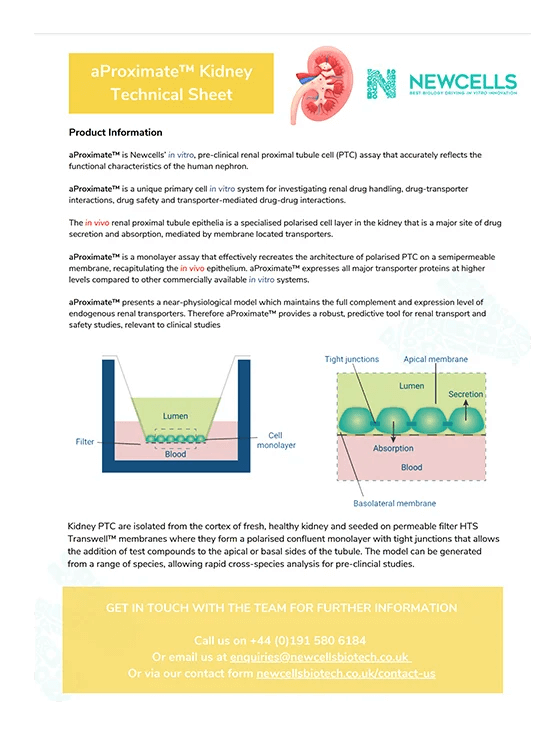 aProximate Kidney Technical Sheet