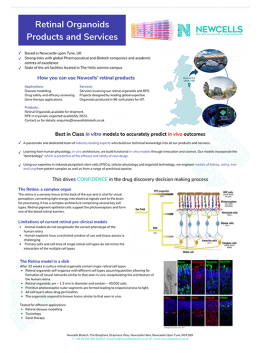 Retinal organoids products and services