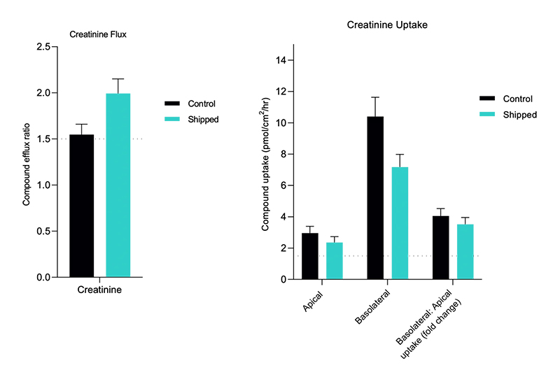 A graph showing different levels of creatine uptake