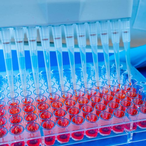 A number of test tubes in a grid, well and tissue culture