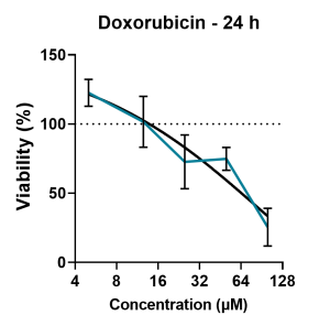 Retinal Toxicity 2