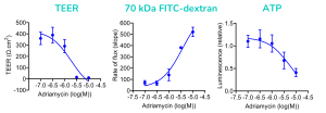 Podocyte graphs