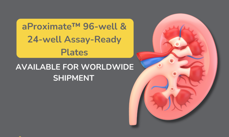 aProximate™ Assay-Ready Plates launch poster.