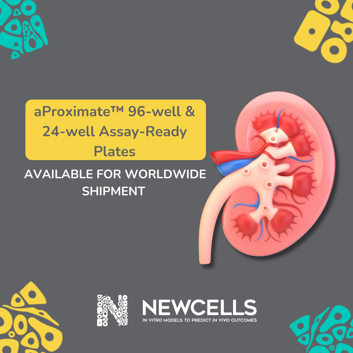 aProximate™ Assay-Ready Plates launch poster.