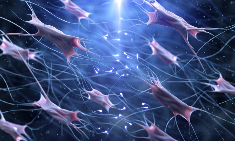 fibroblast and collagen