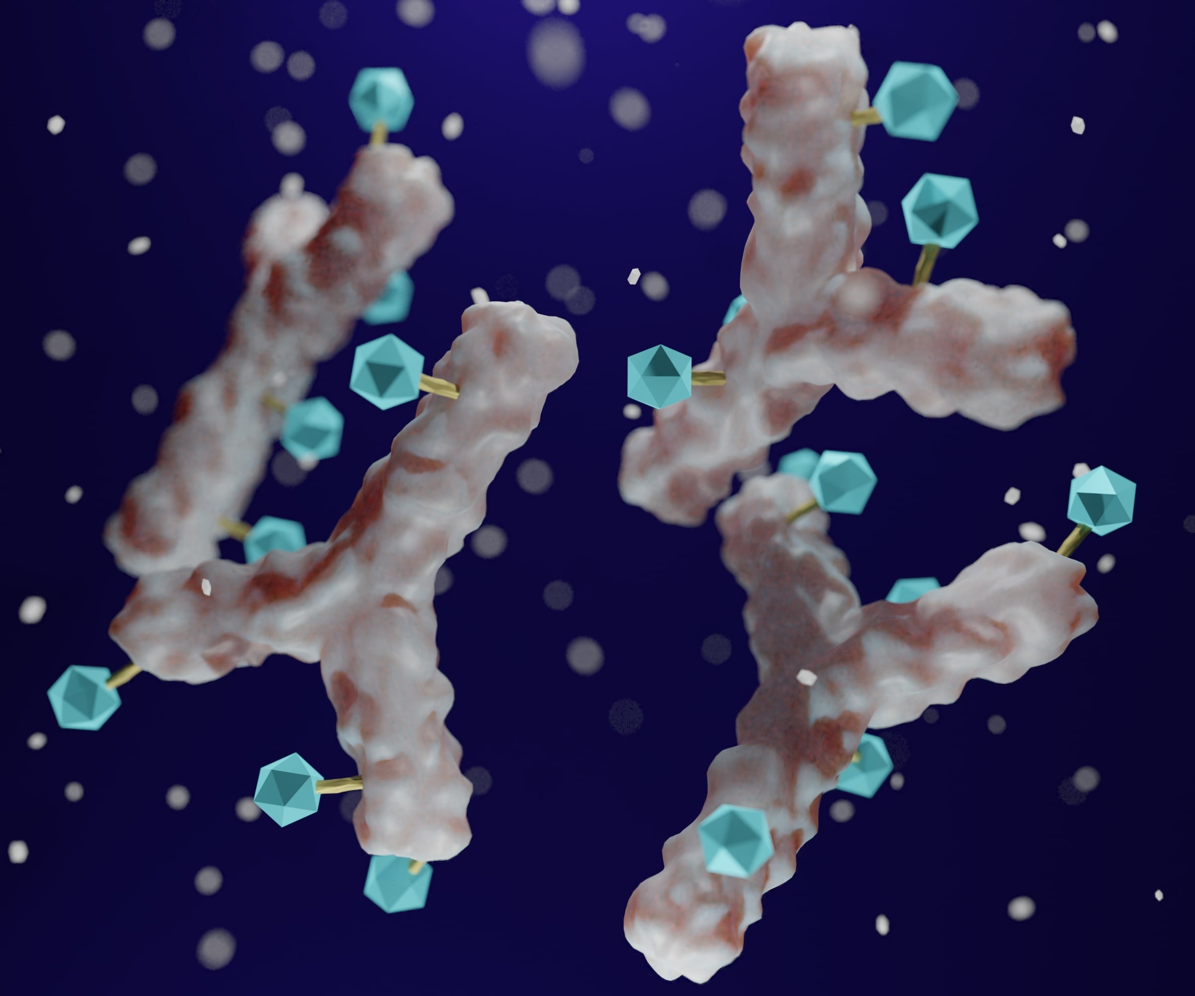 ADC, Antibody drug conjugate,